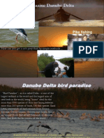 Turism in Delta Dunari