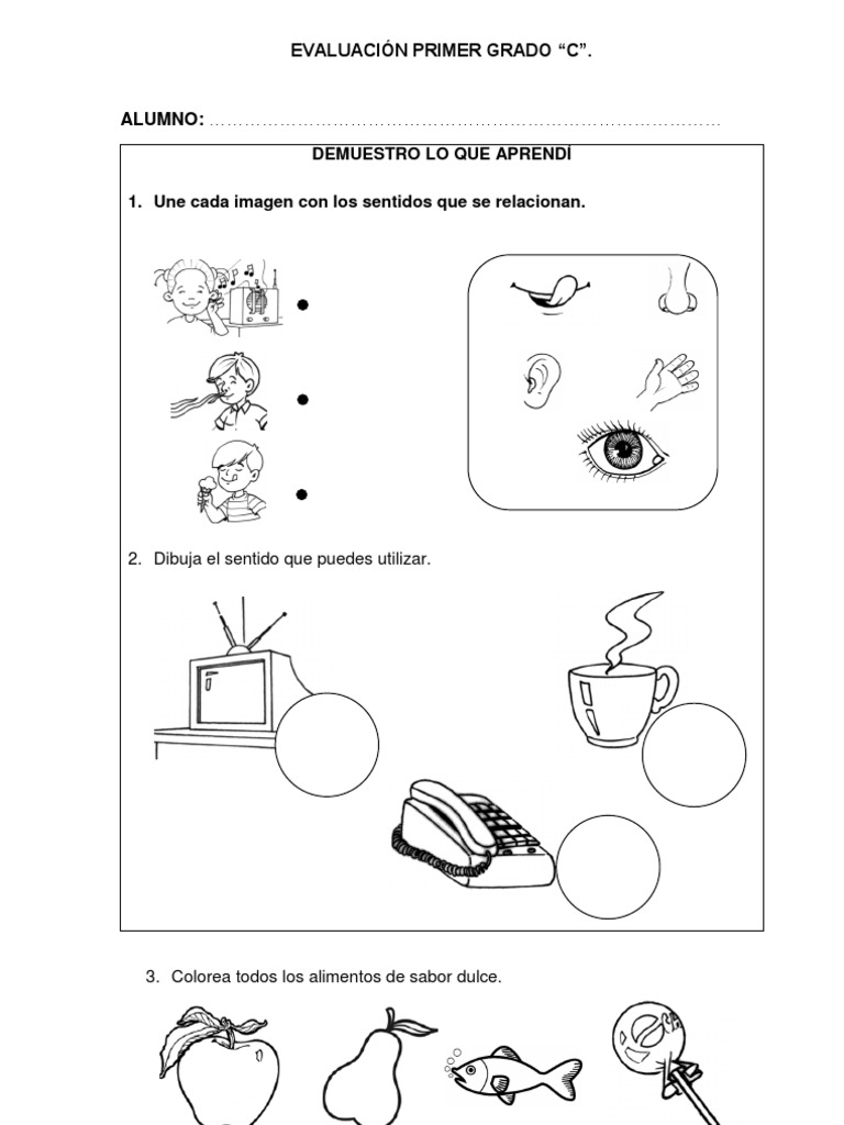 Evaluación de los Sentidos Primer Grado | PDF | Rojo | Color