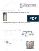 Ceneval Exani II Biologia