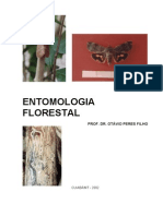 (Apostila) Entomologia Florestal