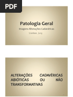 Patologia Geral