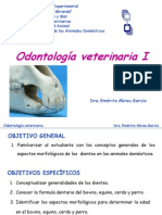 Odontologaveterinariai 121009161106 Phpapp02