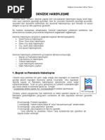 Https Www Kuto Org Tr Site Assets Files 2053 Amator Denizci Egitim Dokumani Pdf