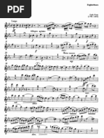 Donizetti Concertino Pdf Free