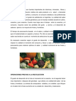 Las Frutas y Hortalizas Son Fuentes Importantes de Vitaminas (1)