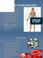 Sistema Cardiovascular Aula 2