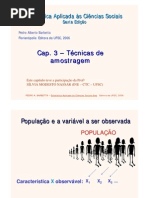 Cap 3 - Técnicas de amostragem