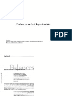 Balances de La Organizacion