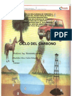 Ciclo Del Carbono