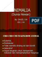 Animalia Dunia Hewan