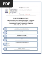 Raport de Evaluare Clasa Pregatitoare