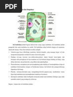 Sel Tumbuhan Dan Fungsinya