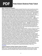 Download Cara Kerja Hati Pada Sistem Ekskresi Pada Tubuh Manusia by FiTri Nst SN142330223 doc pdf