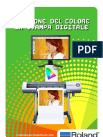 Gestione Colore Beta