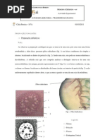 Estruturas Envolvidas No Transporte Nas Plantas
