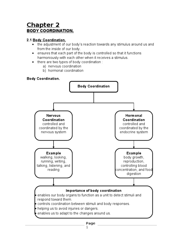Science Chapter 2 Form 4 | Neuron | Nervous System