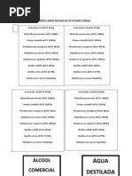 CEPAS BALANCETAS E INFORMAÇÕES