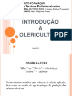 Introdução a Olericultura.pdf