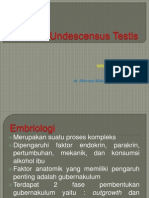 Undescensus Testis