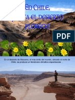 En Chile Hasta El Desierto Florece