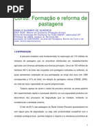 Formacao Reforma Pastagens AGRO
