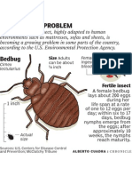 Bedbug 0415 C