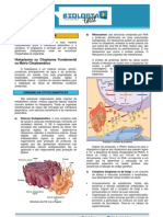 TeoriaCitoplasma.pdf