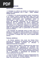 Seres Vivo SEO Ambient e