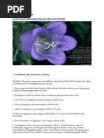 Download kata2 hikmah by lizzahaziqah SN14242295 doc pdf