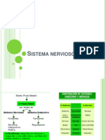 Sistema Nervioso