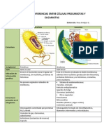 Diferencias Entre Celulas Procariotas y Eucariotas