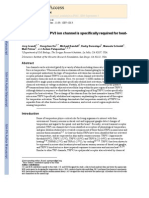 Pore Region of TRPV3 Ion Channel Specifically Required for Heat Activation