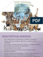 Caracteristicas Generales, Origen y Clasificiacion Del Reino ANIMAL