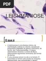 Trabalho Leishmaniose Prof Luiz Carlos Artuso Godoi