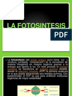 Fotosintesis