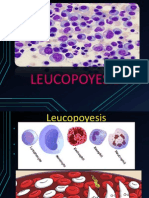 Leucopoyesis FINAL