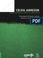 Cld_Jameson.pdf