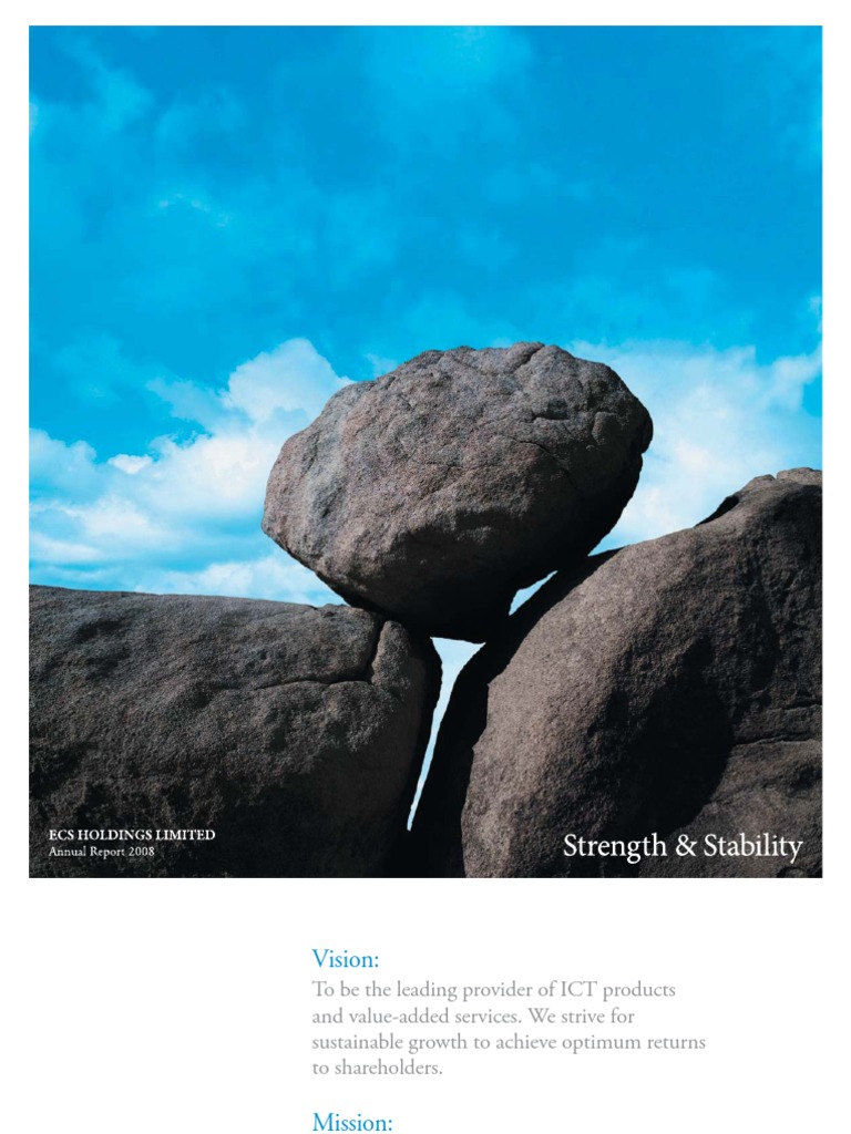 ECS Holdings Annual Report 2008 PDF Revenue Board Of Directors