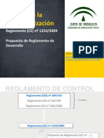 2_Reglamento de Control - Diego Arana