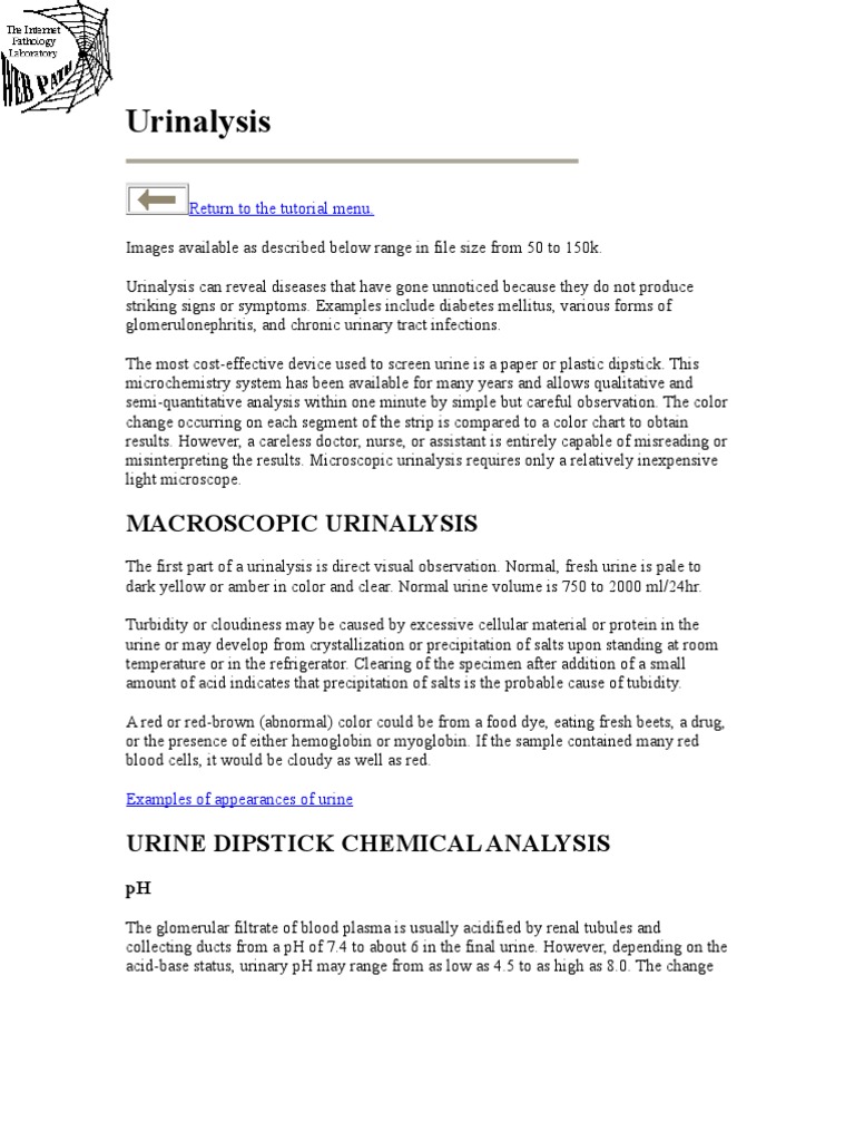 Comprehensive Guide to Urinalysis | PDF | Kidney | Urinary System