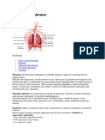 Sistemul Respirator Doc 2