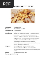 Download SIMPLISIA KUNYIT PUTIH by Rudita Dinar Priyandini SN142503913 doc pdf