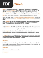 Download Stages of Mitosis Lab Report by Nor Ashikin Ismail SN142507859 doc pdf