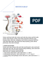 Sistemsaraf 110923070429 Phpapp01