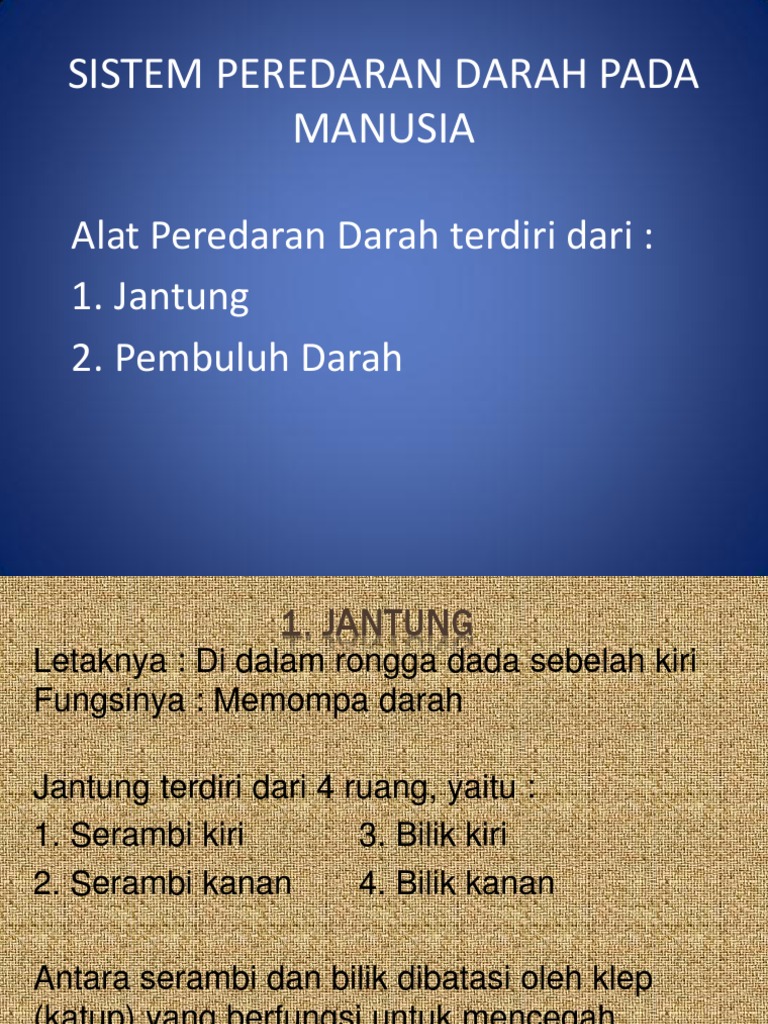 Sistem Peredaran Darah Pada Manusia Kelas 5 Sd