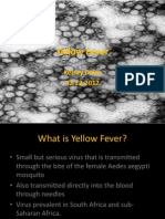 Yellow Fever: Symptoms, History, Treatment, Vaccine