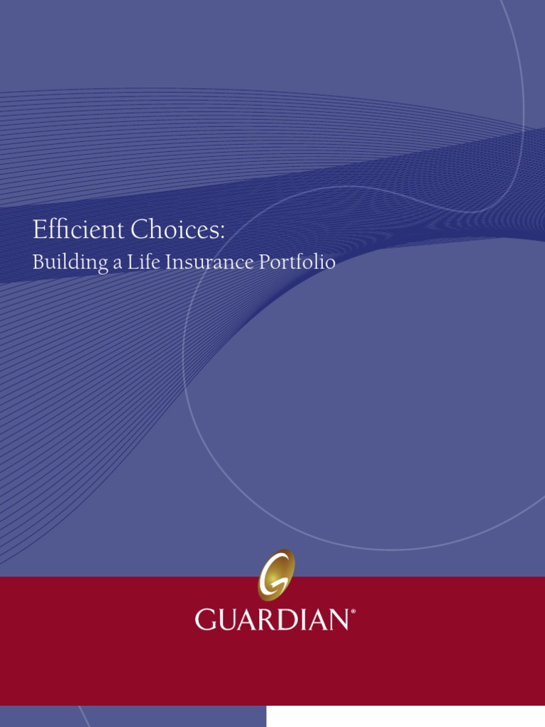 Life Insurance Portfolio Strategies | PDF | Life Insurance | Insurance