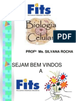 Apresentação - Biologia Celular