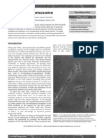 Bact Chromosome PDF