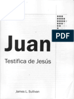 James L Sullivan - Juan Testifica de Jesus